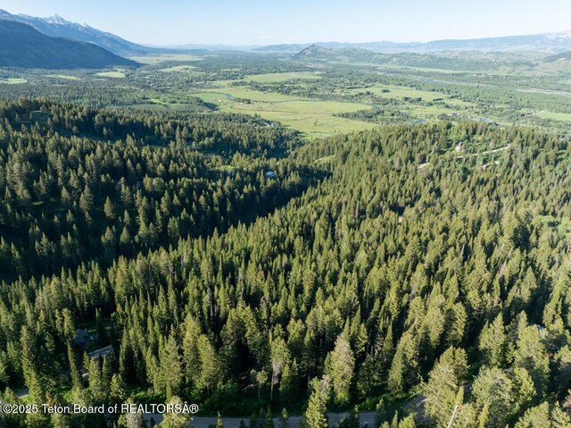 6620 Lupine Trl, Wilson, WY 83014 - photo 6