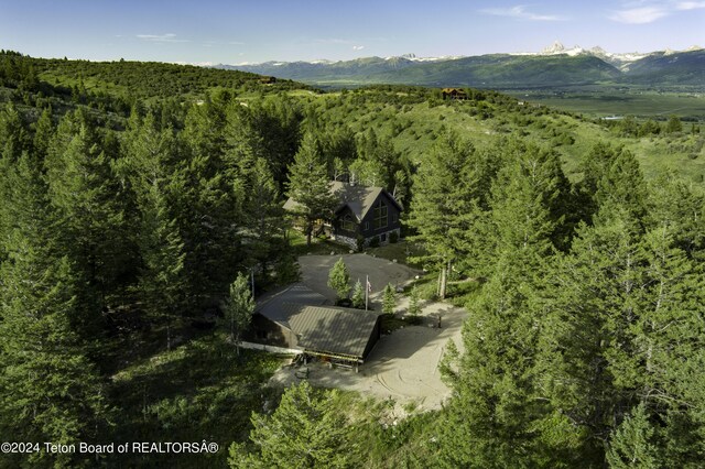 5450 Dry Henderson Rd, Victor, ID 83455 - photo 4