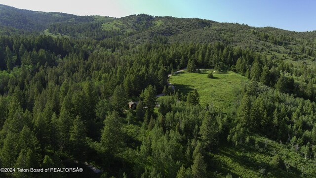 5450 Dry Henderson Rd, Victor, ID 83455 - photo 5