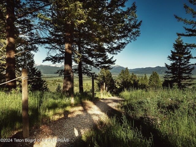 5450 Dry Henderson Rd, Victor, ID 83455 - photo 49