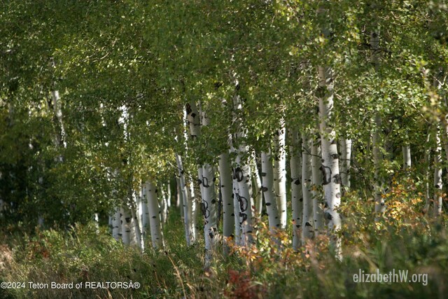 5450 Dry Henderson Rd, Victor, ID 83455 - photo 70