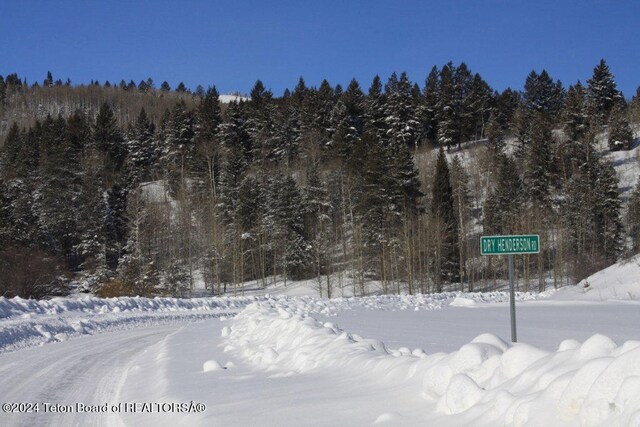 5450 Dry Henderson Rd, Victor, ID 83455 - photo 10