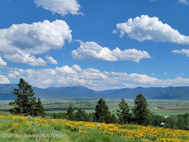 5450 Dry Henderson Rd, Victor, ID 83455 - photo 64