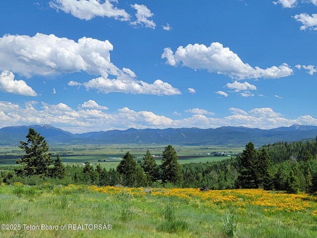 5450 Dry Henderson Rd, Victor, ID 83455 - photo 66