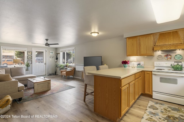 kitchen featuring kitchen peninsula, a wealth of natural light, electric stove, and custom exhaust hood