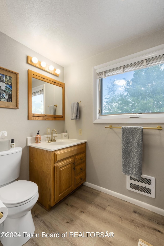 bathroom with vanity, toilet, and wood-type flooring