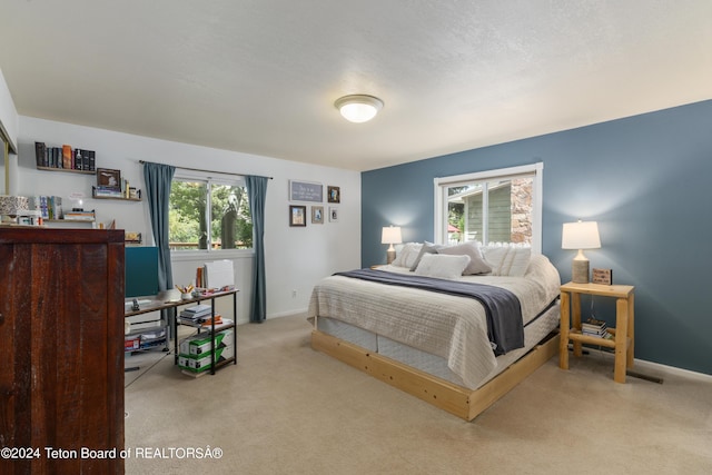 bedroom with light carpet