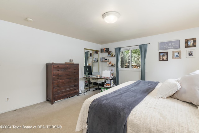 bedroom with light colored carpet