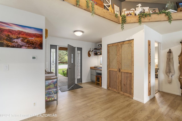 foyer featuring wood-type flooring