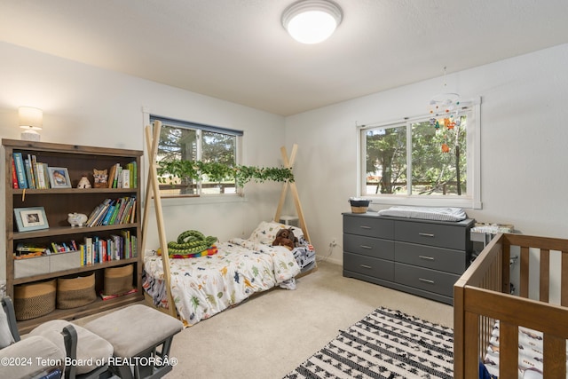 carpeted bedroom with multiple windows