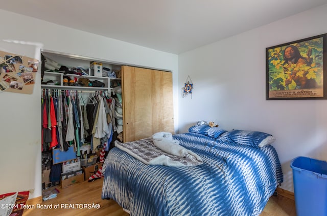 bedroom featuring hardwood / wood-style flooring and a closet