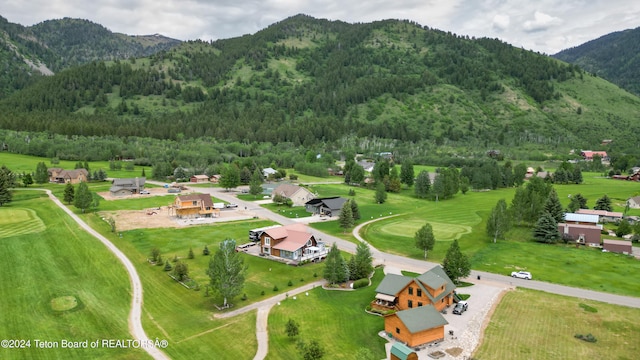 bird's eye view with a mountain view