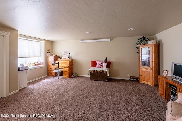 interior space with dark carpet and a textured ceiling