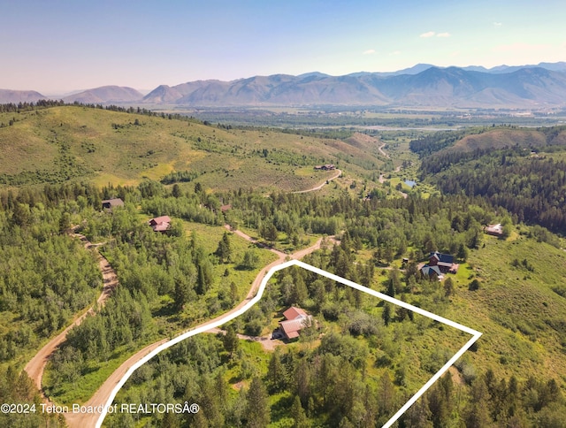 aerial view with a mountain view and a wooded view