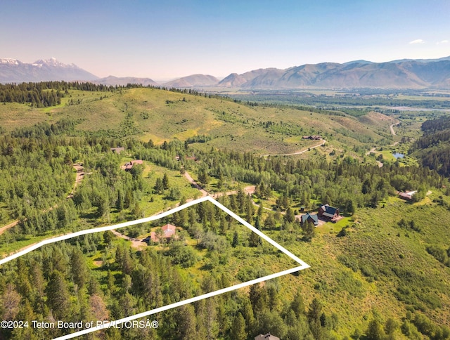 birds eye view of property featuring a mountain view and a wooded view