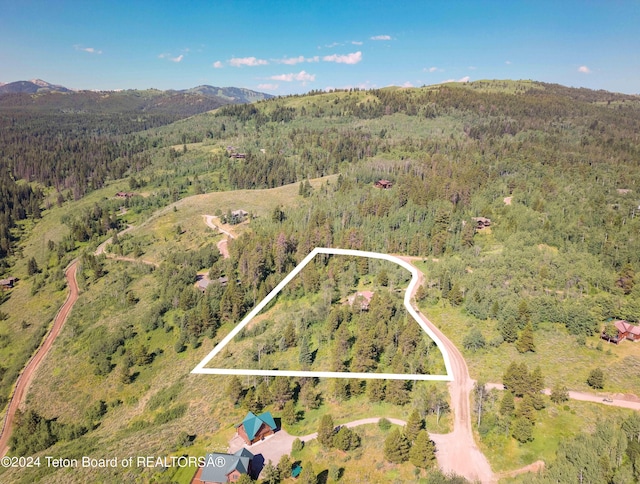 bird's eye view featuring a mountain view and a wooded view