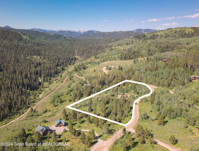 bird's eye view with a forest view and a mountain view