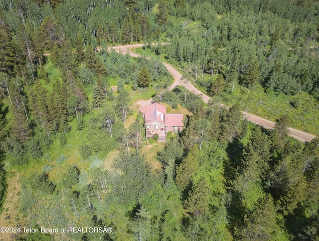 bird's eye view with a view of trees