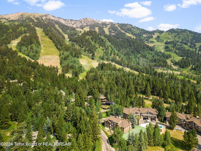 property view of mountains