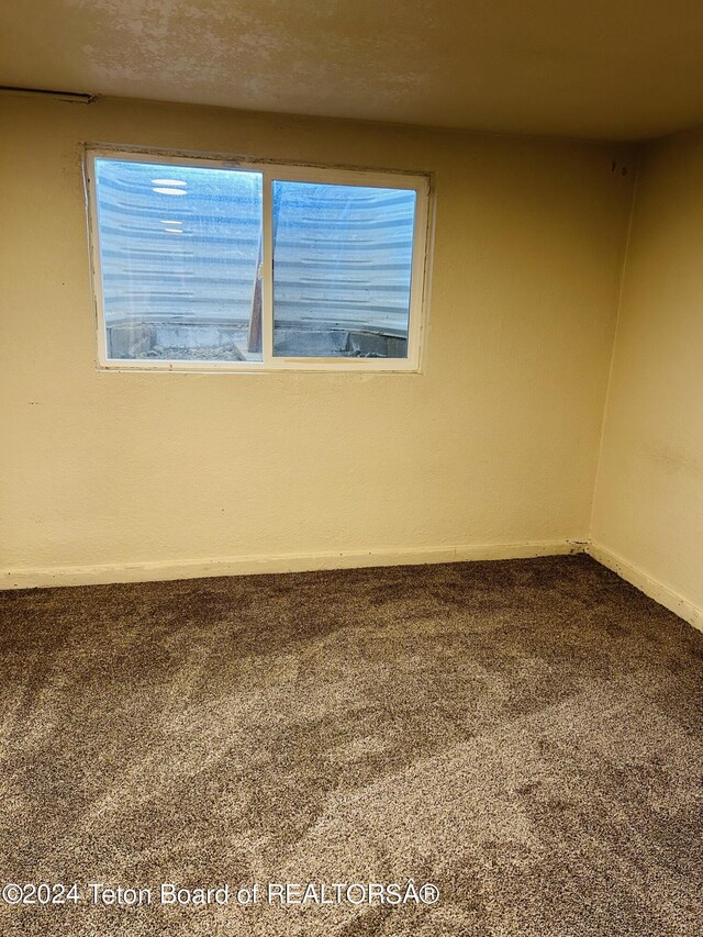 spare room featuring carpet floors