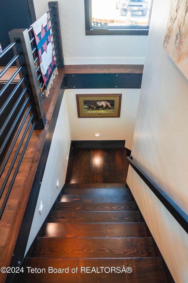 staircase featuring hardwood / wood-style floors