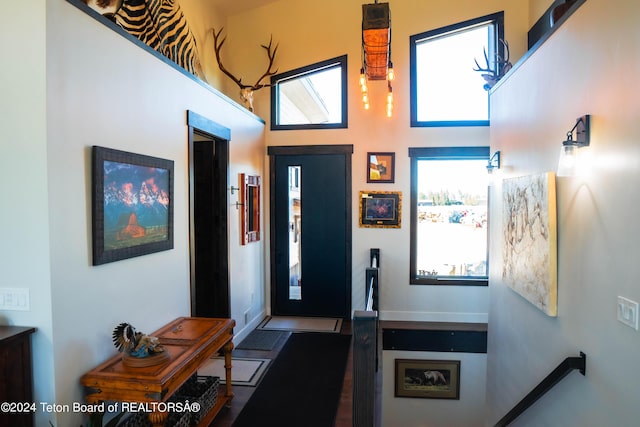 entryway with a towering ceiling