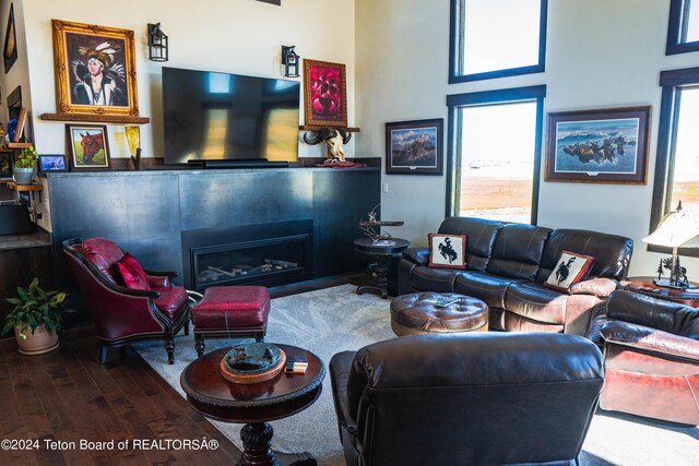 living room with hardwood / wood-style floors and a wealth of natural light