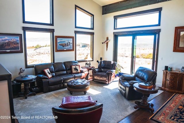 living room with a towering ceiling and hardwood / wood-style floors