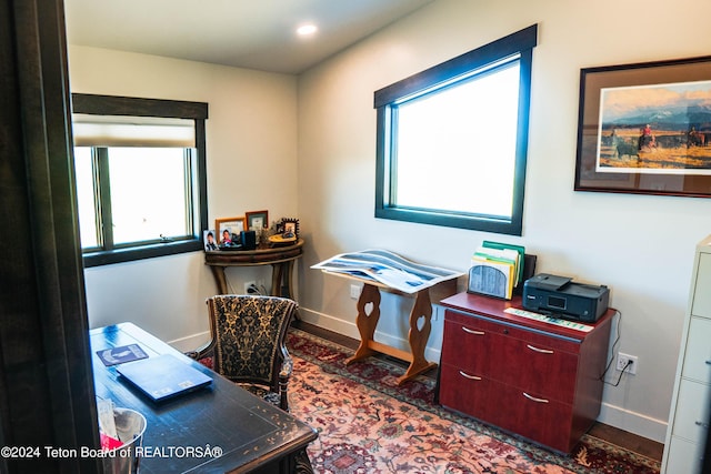 office featuring a wealth of natural light