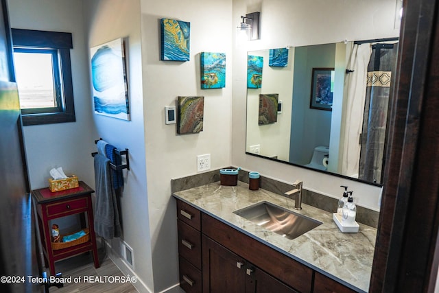 bathroom with toilet and vanity