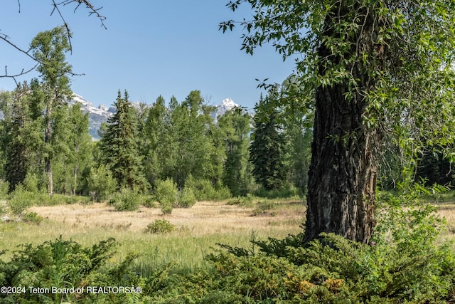 155 E Buck Mountain Rd, Jackson, WY 83001 - view of local wilderness with a forest view