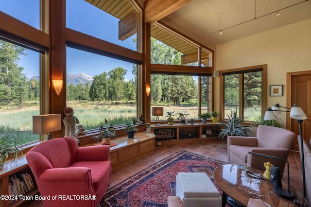 sunroom with beamed ceiling