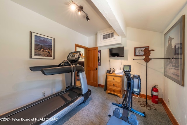 workout area featuring carpet and rail lighting