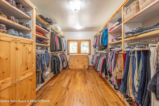 spacious closet with light hardwood / wood-style flooring