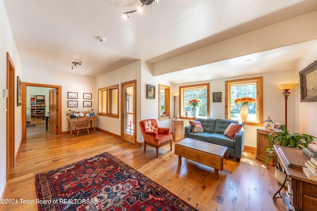 living room featuring light hardwood / wood-style flooring