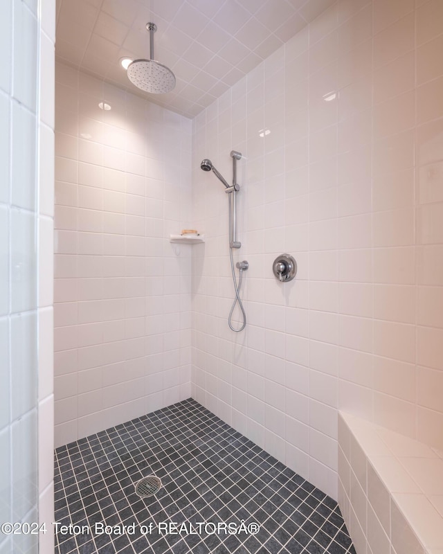 155 E Buck Mountain Rd, Jackson, WY 83001 - bathroom featuring a tile shower