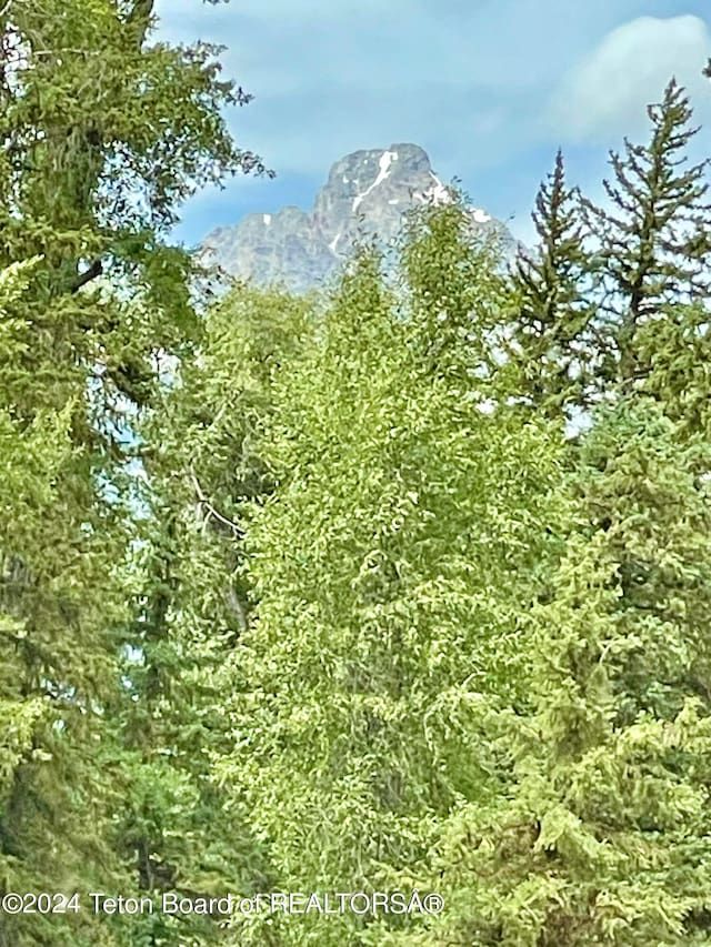 view of local wilderness featuring a mountain view