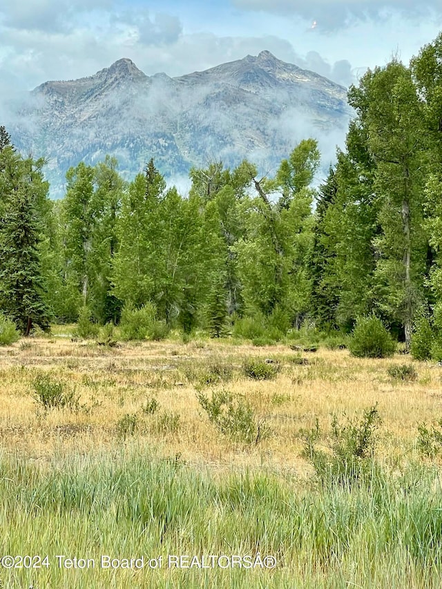 view of mountain feature