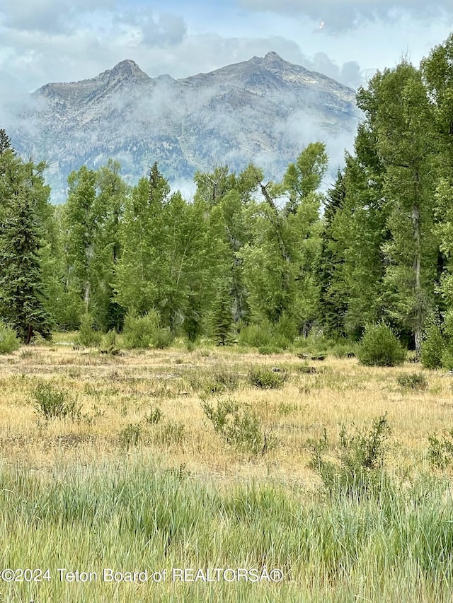155 E Buck Mountain Rd, Jackson, WY 83001 - mountain view