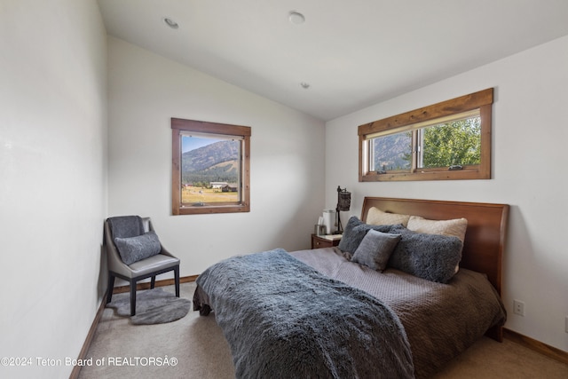 carpeted bedroom with lofted ceiling