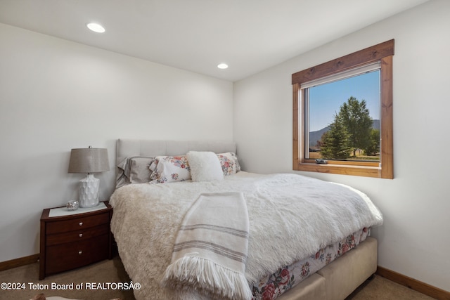 view of carpeted bedroom