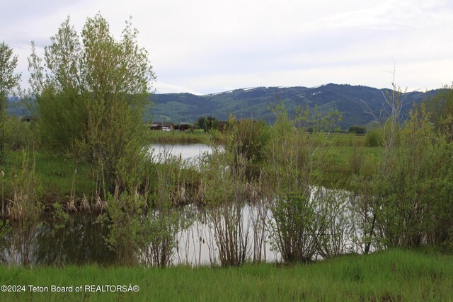 6392 Fox Meadows Dr, Victor, ID 83455 - photo 10