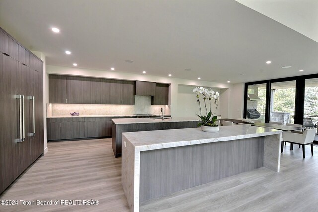 kitchen featuring backsplash, sink, a spacious island, and light hardwood / wood-style floors