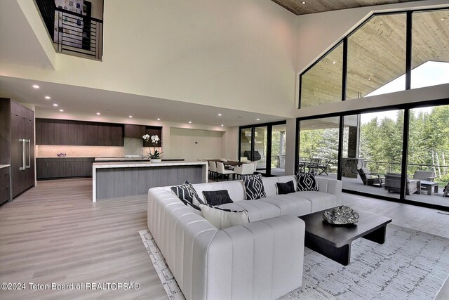 living room with light wood-type flooring and a towering ceiling