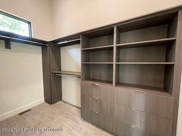 spacious closet with light carpet