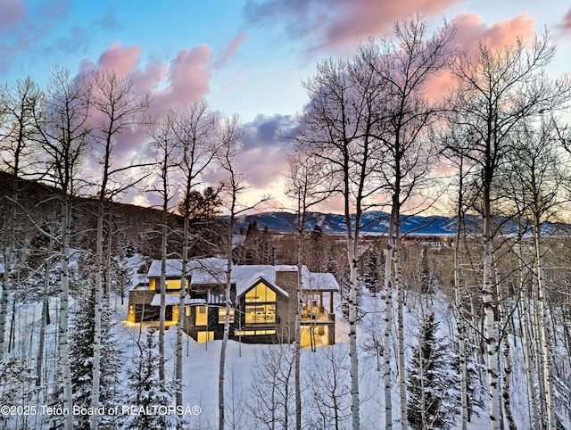 exterior space featuring a mountain view