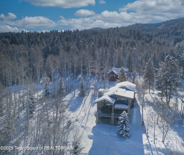 view of snowy aerial view