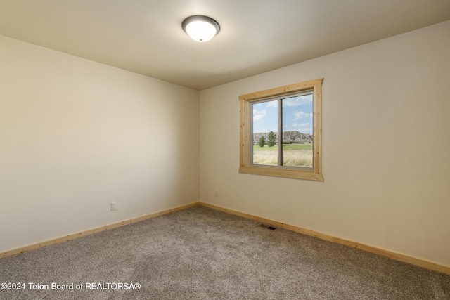 1424 Fairview Dr, Dubois, WY 82513 - carpeted spare room featuring baseboards