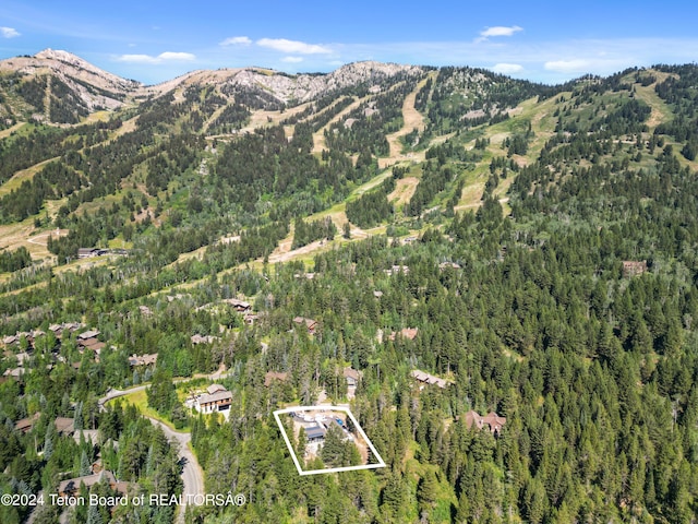 7750 N Lower Granite Ridge Rd, Teton Village, WY 83025 - mountain view featuring a forest