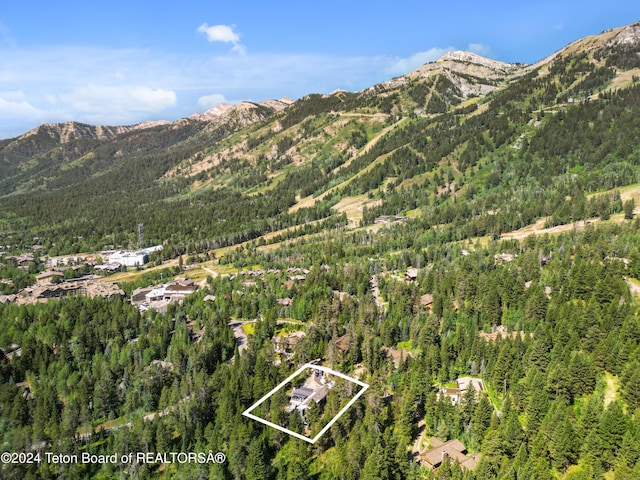 7750 N Lower Granite Ridge Rd, Teton Village, WY 83025 - mountain view featuring a forest